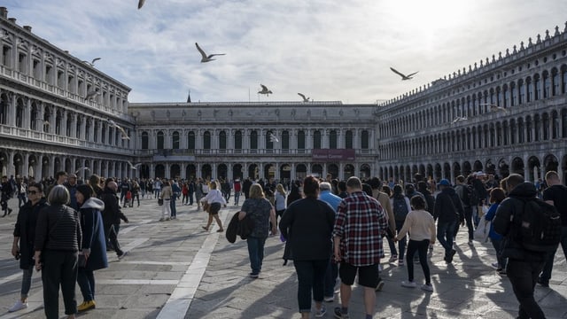 Blick auf den Markusplatz in Venedig