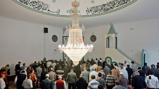 Blick in eine Moschee, mit betenden Männern.