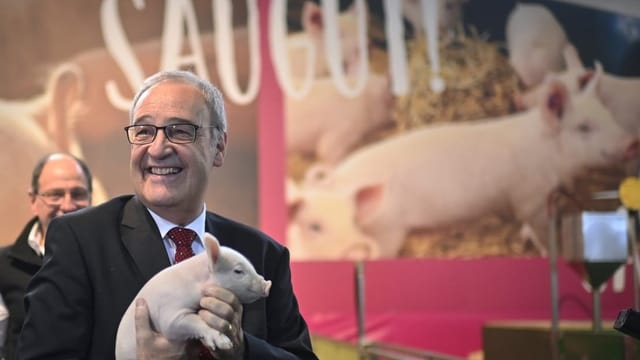 Bundesrat Guy Parmelin eröffnet die Olma 2021 (mit im Bild das Säuli).