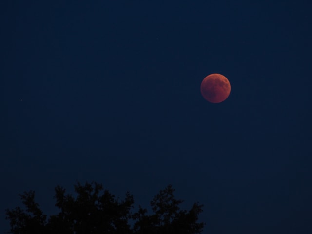 Blutmond