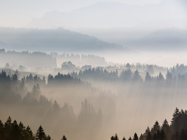 Dunst über Landschaft