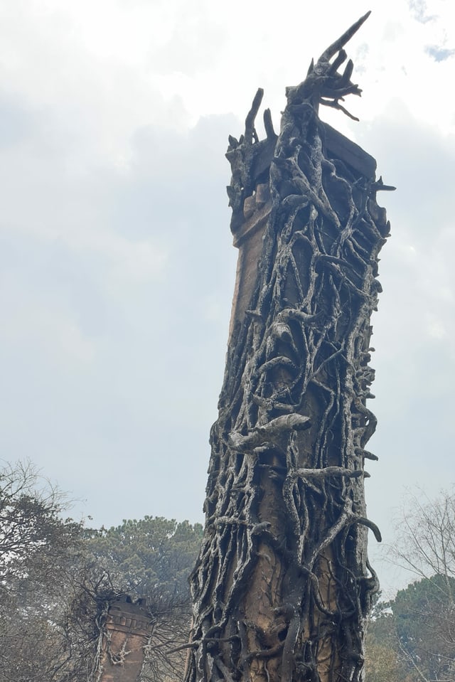 Wie mit Finger eines Gespensts umklammert der verbrannte Efeubaum den Schornstein. 