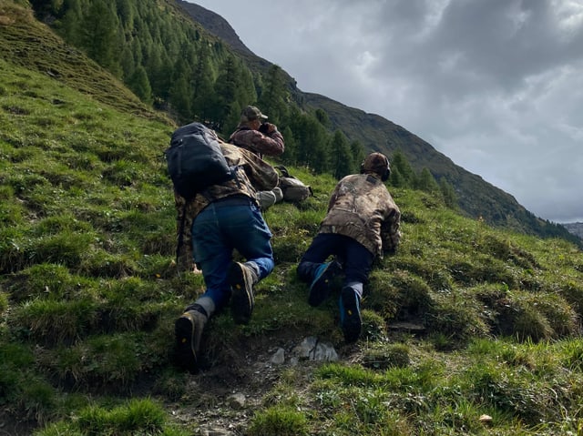 Andrin, Reto und Christian schleichen sich an ein Murmeltier heran.