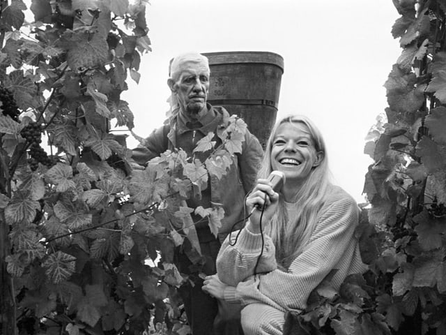 schwarzweiss Bild Frau mit Aufnahmegerät zwischen Weinreben