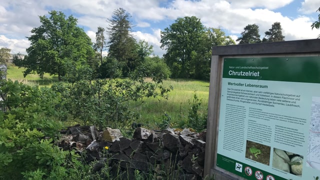 Informationstafel im Chruzleriet mit Wiese und Bäumen im Hintergrund.