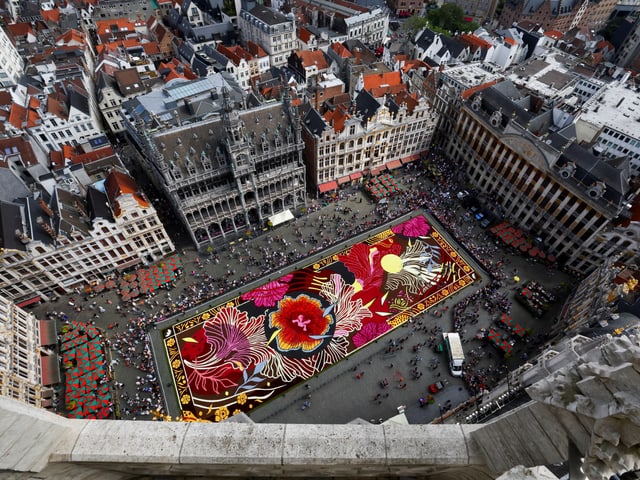 Blumenteppich am «Grote Markt» in Brüssel.