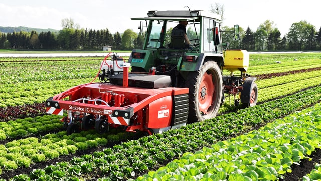 Ein Traktor mit einem Anhänger fährt übers Feld.