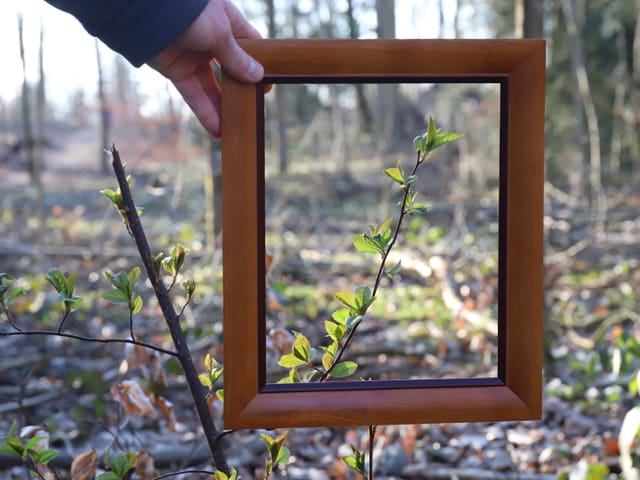 Ast mit spriessenden Blättern eingerahmt