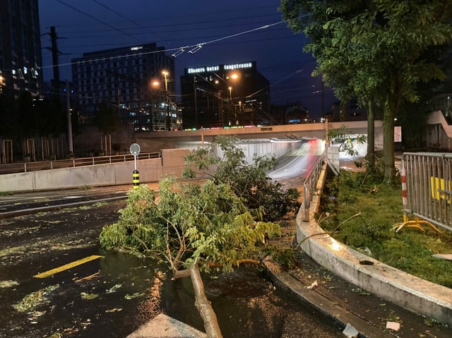 Ein umgeknickter Baum liegt auf der Strasse.