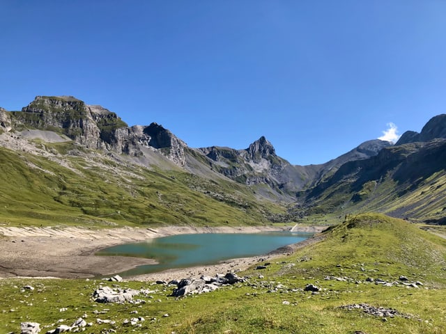 Im Muotathal, Glattalpsee tiefer Wasserstand, aber genug für Vieh und Pferde