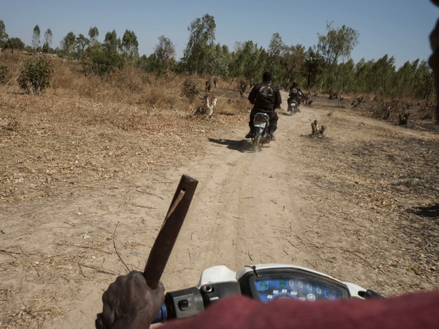 Motorradkolonne von hinten