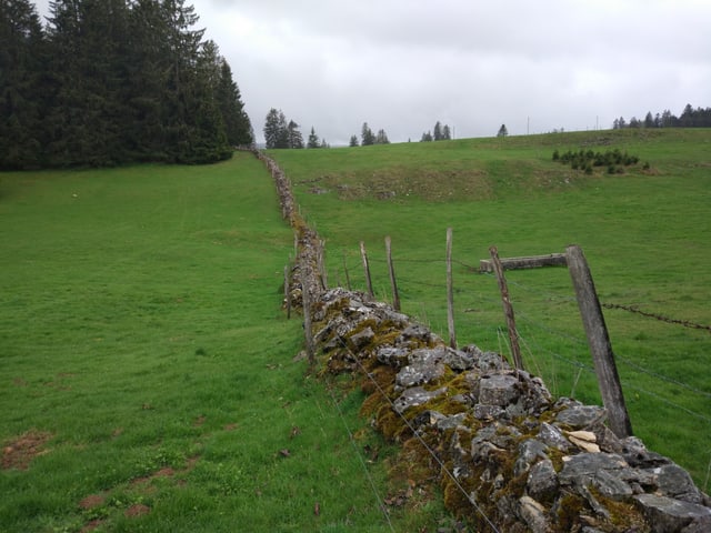 Eine Trockensteinmauer trennt zwei Weiden.