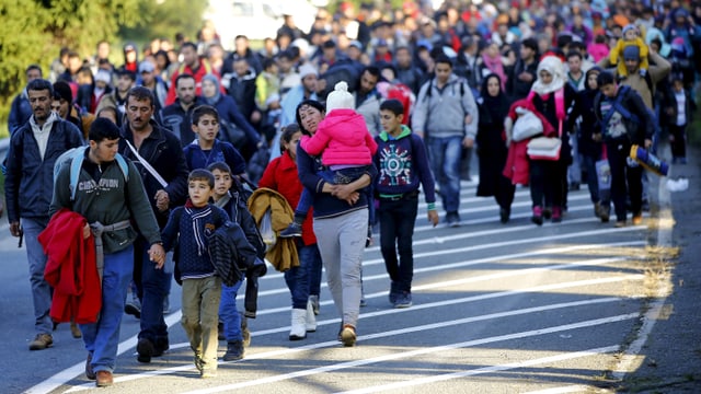 Flüchtlinge marschieren zum österreichischen Grenzübergang nach einer Nacht in Sentilj, Slowenien. (reuters)