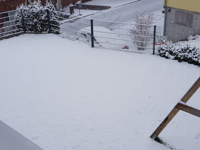 Schnee im Garten.