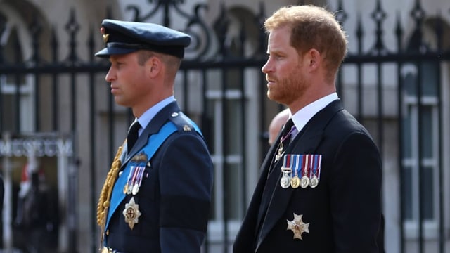 Harry steht neben seinem Bruder William. Die beiden schauen grimmig. 