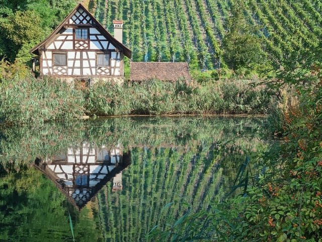 Tolle Spiegelung in Kartause Ittingen