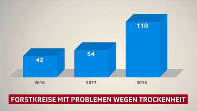 Balkengrafik mit drei Säulen