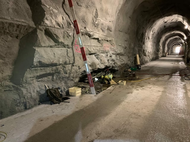 Eine der Fundstellen im Zufahrtsstollen unterhalb des Grimsel-Hospiz