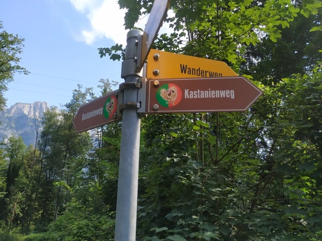 Wanderwegschild mit Beschriftung: Kastanienweg