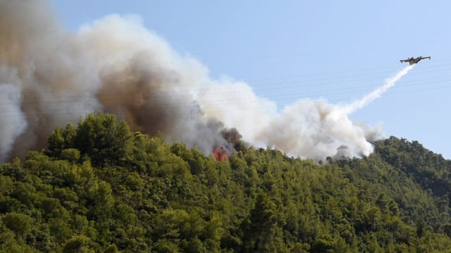 Wald brennt, ein Löschflugzeug löscht.