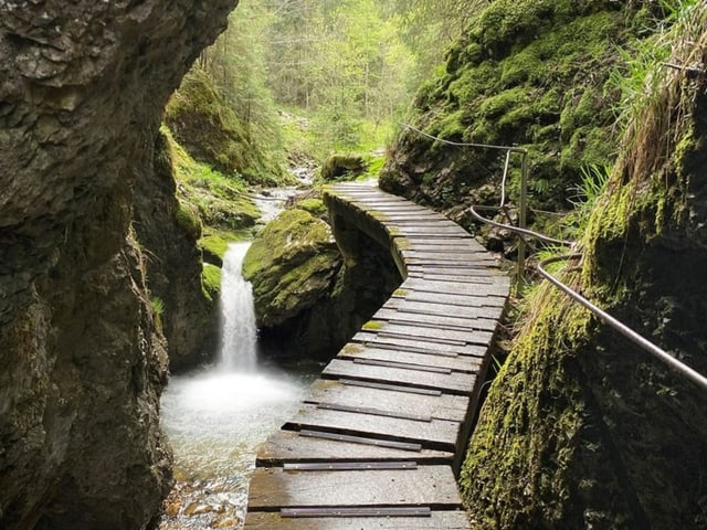 Holzsteg in einer Schlucht. Daneben fliesst ein Bach und es gibt viel Moos.