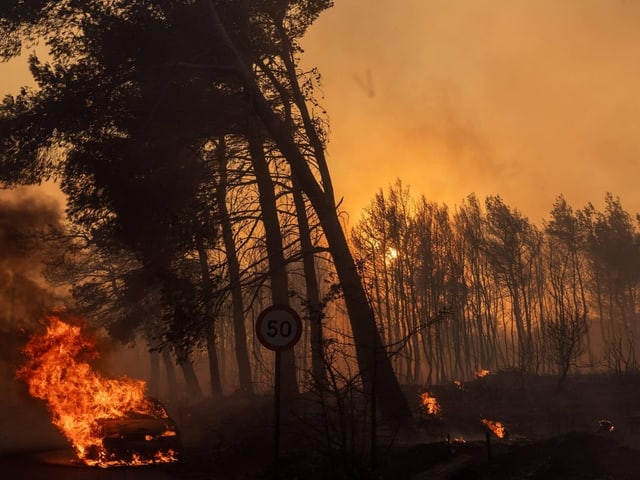 Ein Wald brennt. Am Boden lodern Flammen. es sieht so düster rötlich aus.