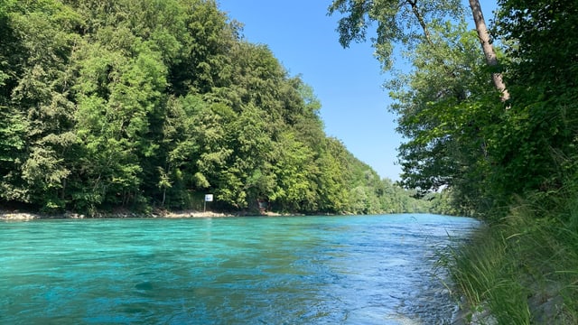 Die Aare bei Bern am 11. Juli.