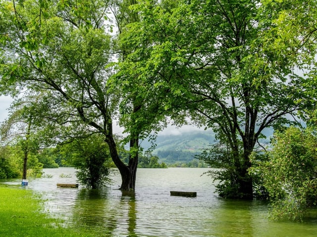 Hochwasser am Lauererzersee