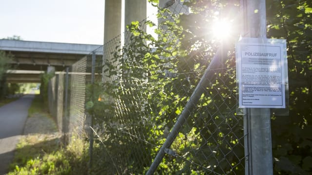 Plakat des Polizeiaufrufs beim Dammweg in Emmen nach dem Vergewaltigungsfall von 2015