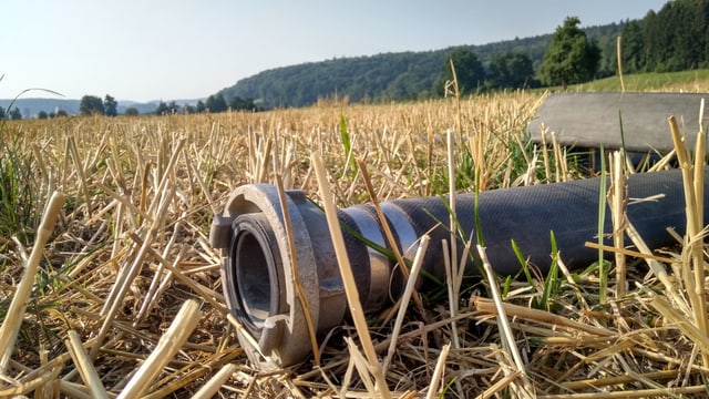 Ein Schlauch auf einem Feld