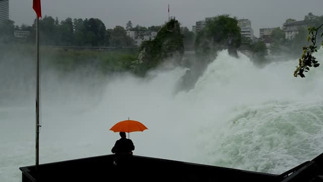 Blick auf das Hochwasser am Rheinfall.