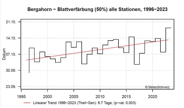 Blattverfärbung: 8,7 Tage später