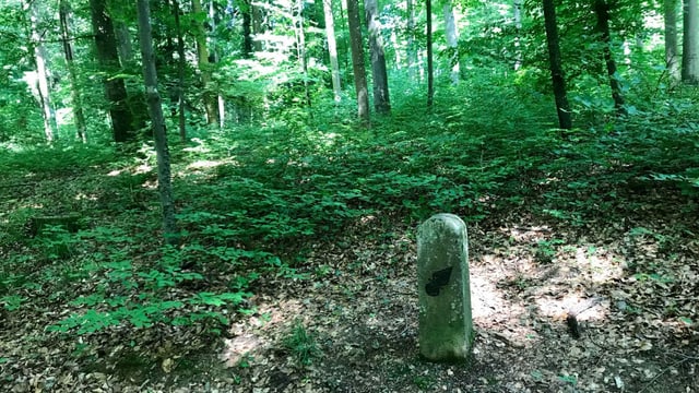 Ein bemooster Grenzstein, dahinter Wald.