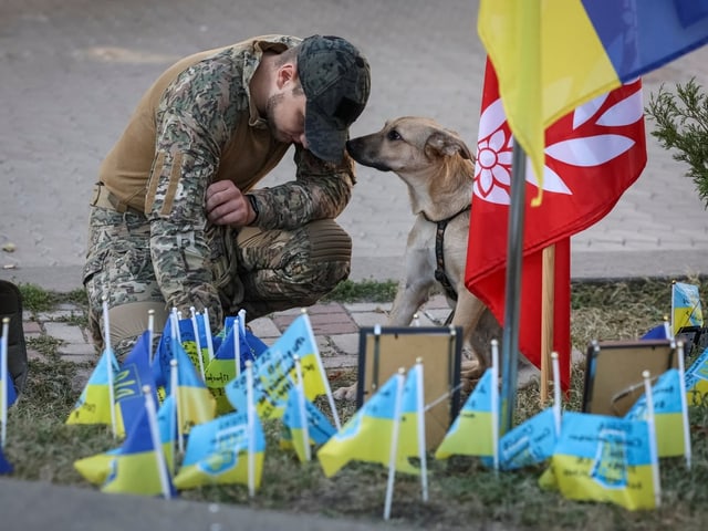 Soldat in Tarnkleidung kniet mit Hund zwischen gelben und blauen Flaggen.