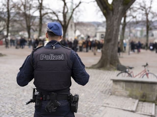 Ein Polizist blickt aus der Distanz auf die Kundgebung.