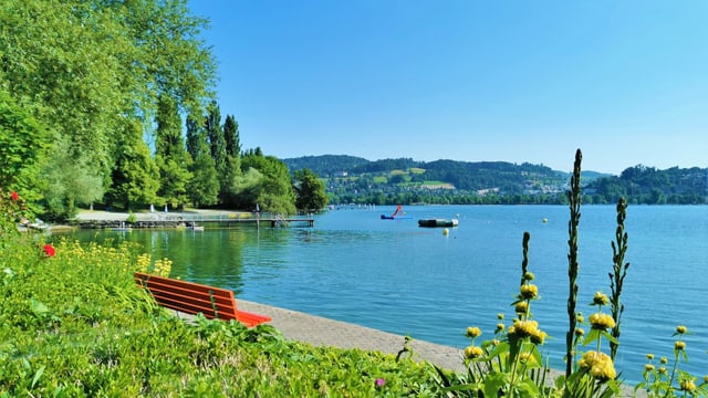 Blick auf den Vierwaldstättersee bei wolkenlosem Wetter.