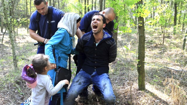  Eine Familie aus Syrien wird in einem Waldstück in Ungarn gefasst. Dem Mann werden die Hände gefesselt. Er schreit. Frau und Kind stehen daneben. (reuters)