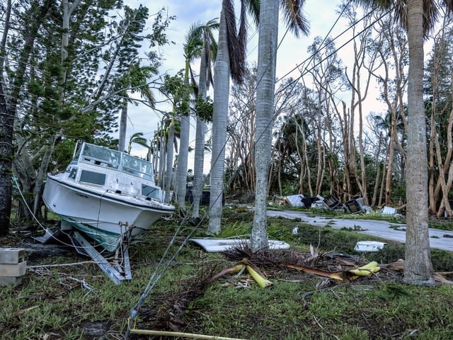 Boot und umgestürzte Bäume nach Sturm.