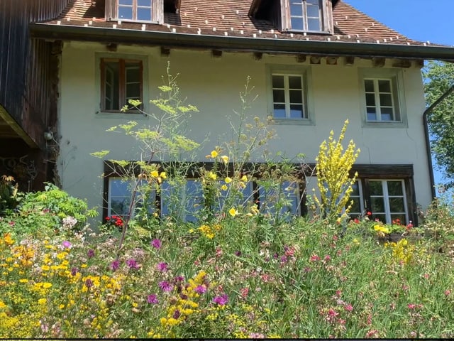 Haus im Garten