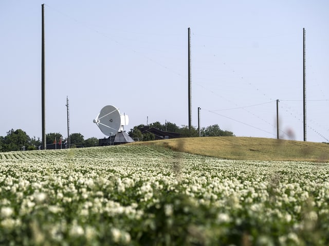 Blick auf die Anlage des Zentrums. Auf einem Hausdach ist eine grosse Parabolantenne zu sehen.