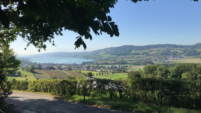 Blick in ein Tal mit See