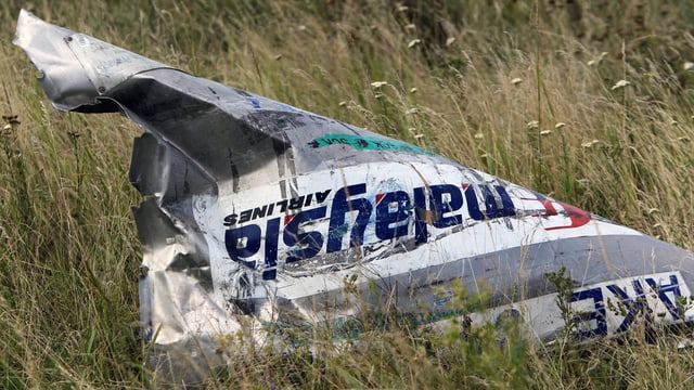 Ein Stück der abgeschossenen Boeing der Malaysia Airlines liegt auf einer Wiese.