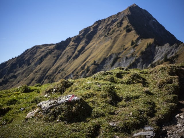 Blick auf den Niesen.