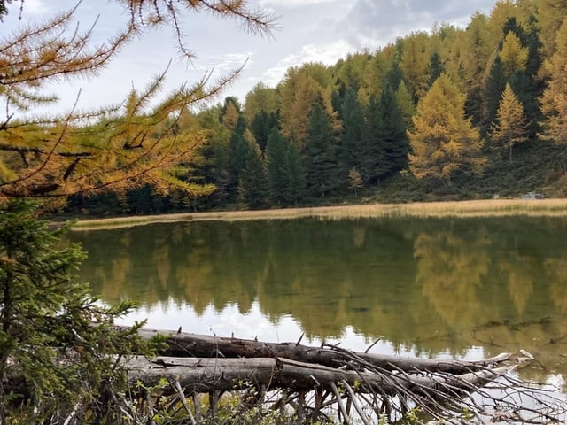 See mit Herbstwald im Hintergrund.