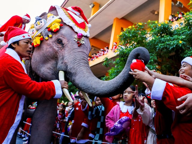 Ein verkleideter Elefant verteilt Dinge.