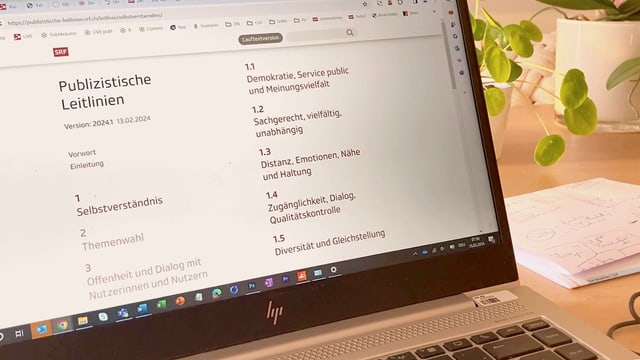 Laptop, auf dem die Publizistischen Leitlinien zu sehen sind