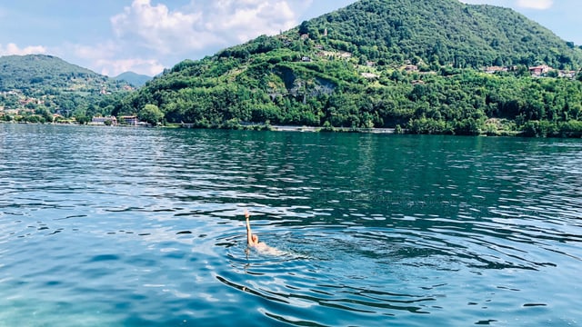 Annette König schwimmt im Lago d'Orta