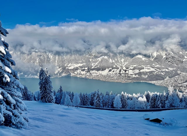 Schneebedeckter Hang mit Bäumen. Blick ins Tal auf See. Im Hintergrund schneebedeckter Hügel mit Wald.