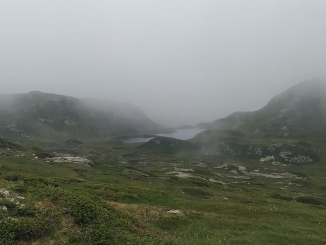 Rauhe, grüne Landschaft. Neblig. Im Hintergrund Bergsee.