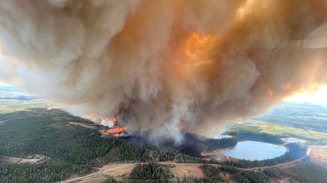 Eine grosse Rauchwolke steigt aus den Wäldern von Lodgepolen in der kanadischen Provinz Alberta in den Himmel. 